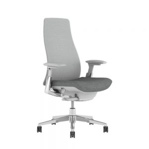 Haworth Fern Mesh Office Chair